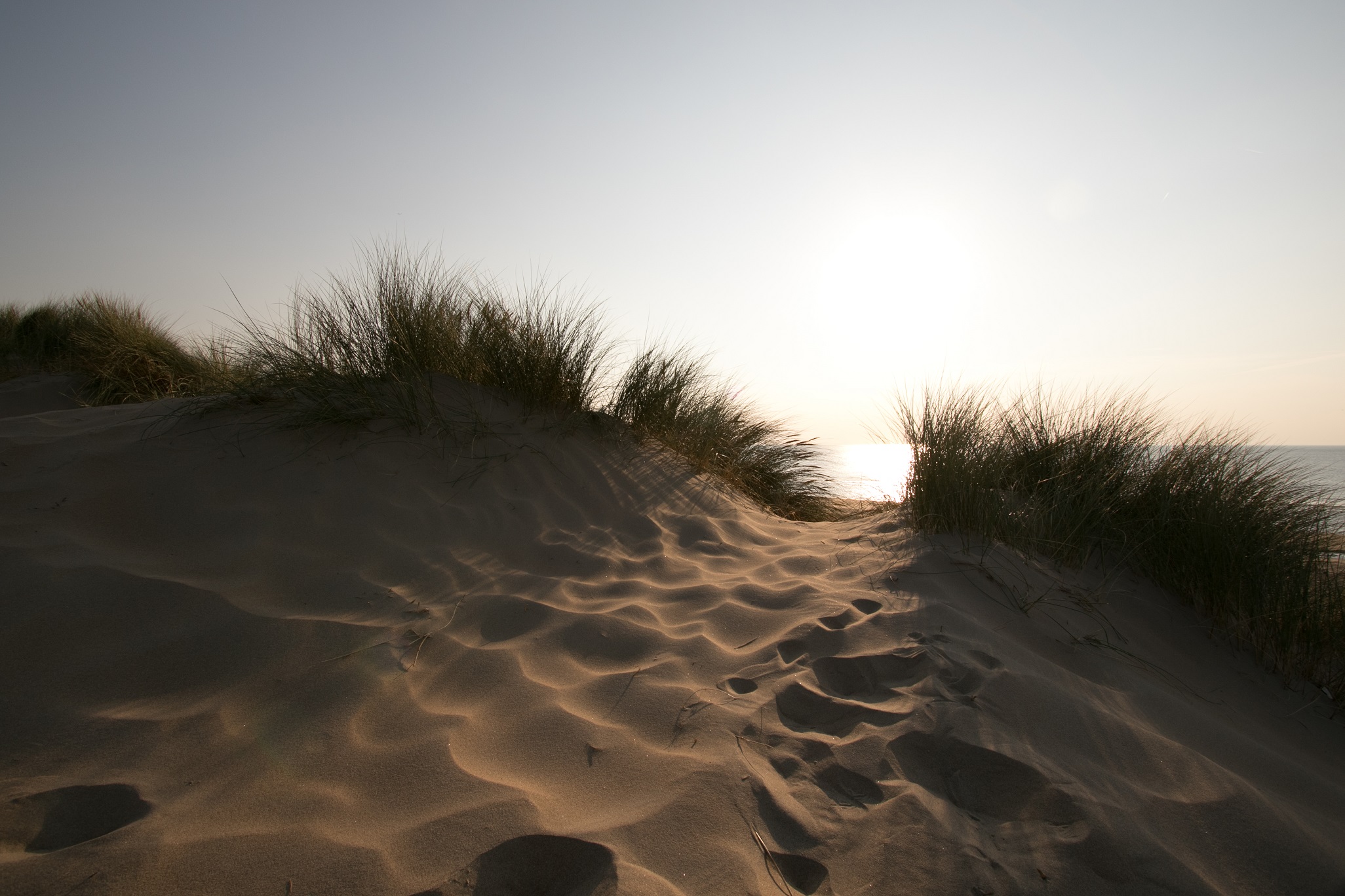 105_Duinen